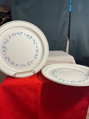 Classic Blue Floral Rim Dinner Plates - White with Green Trim